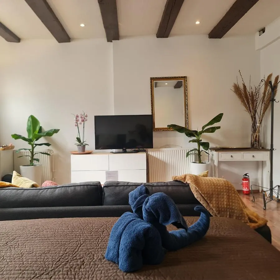 בית הארחה Crown Guesthouse אמסטרדם הולנד