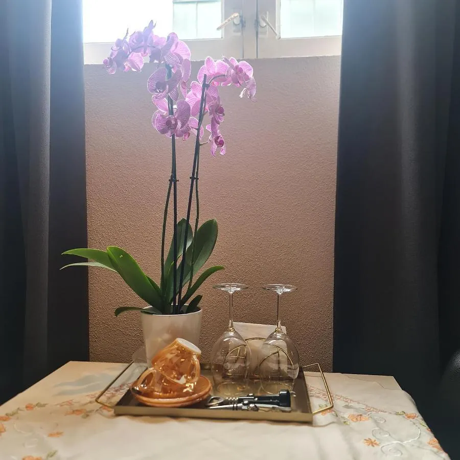 Crown Guesthouse Amsterdam Konukevi